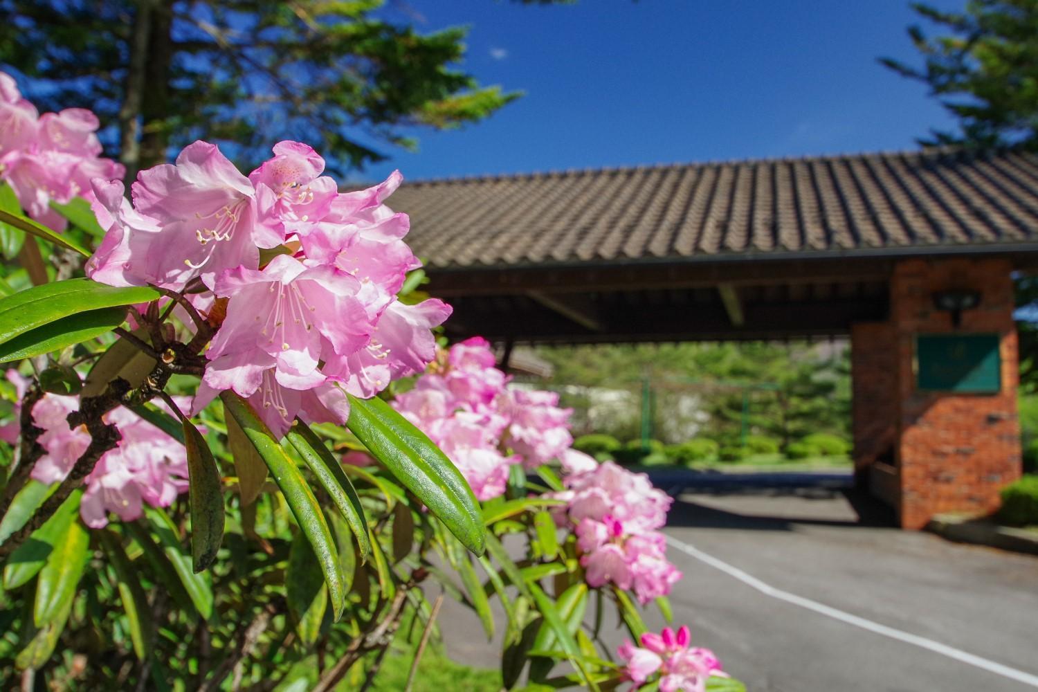 Tsumagoi Prince Hotel Ngoại thất bức ảnh